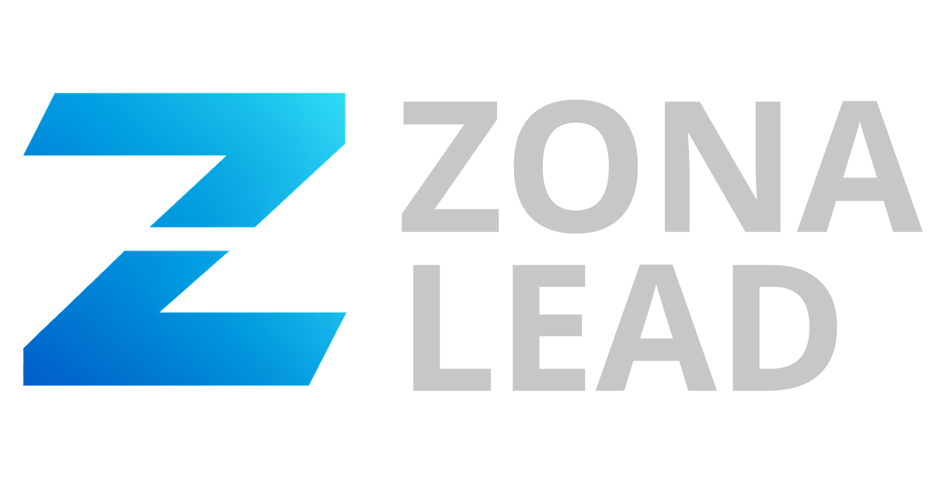 ZONA LEAD